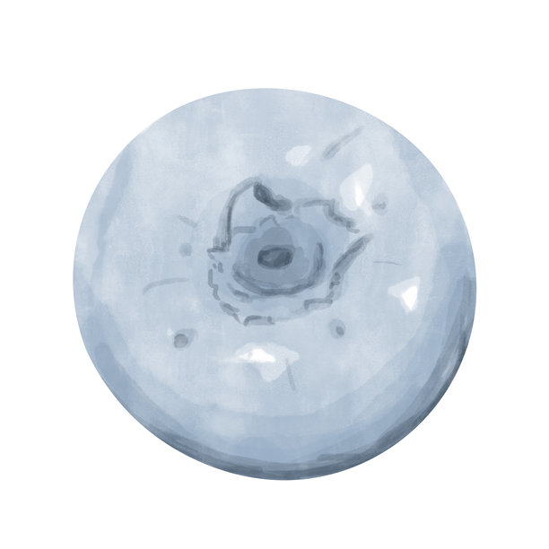 蓝莓，水果俯视图，水彩数字插图，适用于印刷和网络的绘画剪贴画，海报，卡片，邀请函，排版，鲜美而明亮。图片下载