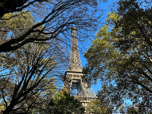 巴黎法国树木间的埃菲尔铁塔库存照片图片下载