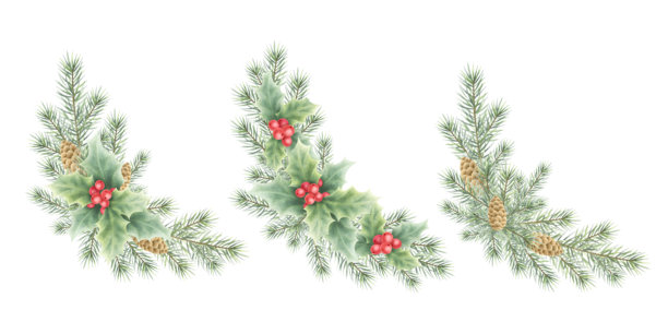 圣诞冷杉树枝、松 cones 和冬青浆果及叶子的水彩插图，手绘角落构图套件，适用于新年冬季节日贺卡模板和设计。图片下载