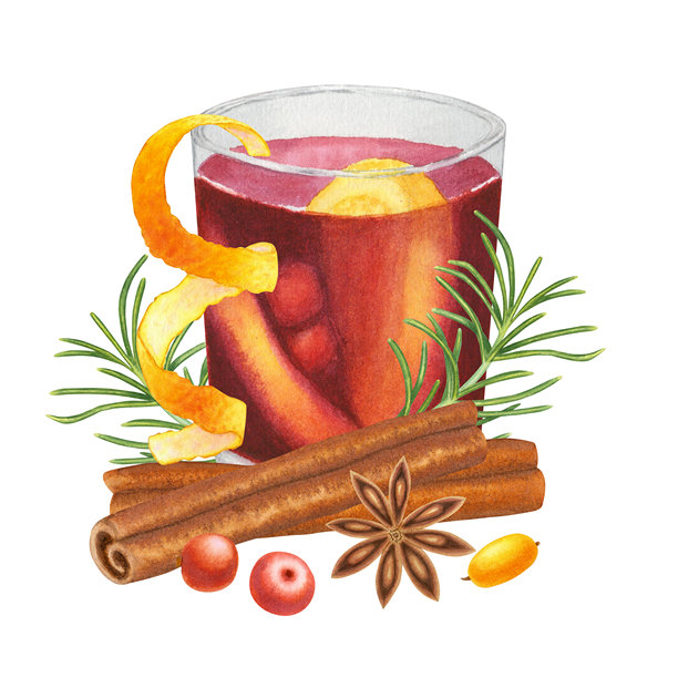 带有红色饮料、水果片、肉桂、八角、浆果、橙皮、迷迭香或冷杉、松树的玻璃杯，背景为纯色。手绘水彩插图。适用于设计、卡片、包装、菜单、食谱、广告。图片下载