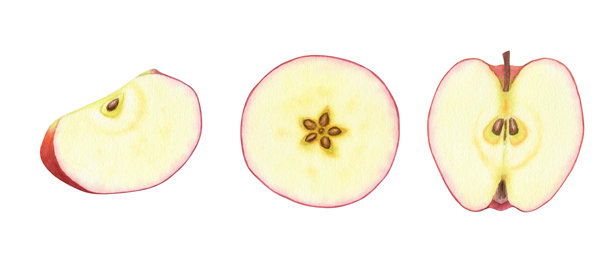 一组切半的红苹果，背景为纯色。美丽多汁的成熟水果。甜美的有机健康食品。手绘水彩植物插图。用于设计、卡片、包装、标签、菜单、食谱和广告的剪贴画。图片下载