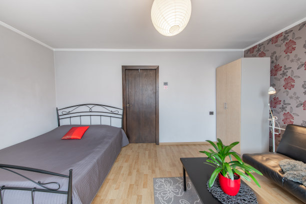 家居客厅和卧室。窗户，时尚复古风格公寓。开放式室内，沙发，沙发床和衣柜，衣橱。硬木地板和地毯。咖啡桌和花卉。图片下载