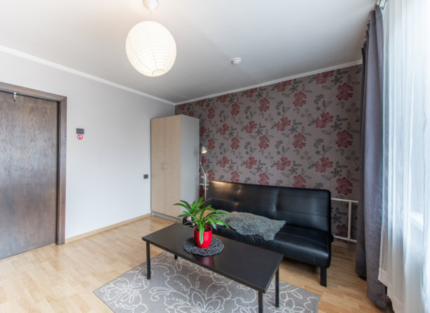 家居客厅和卧室。窗户，时尚复古风格公寓。开放式室内，沙发、沙发床和衣柜。硬木地板和地毯。咖啡桌和花卉。图片下载