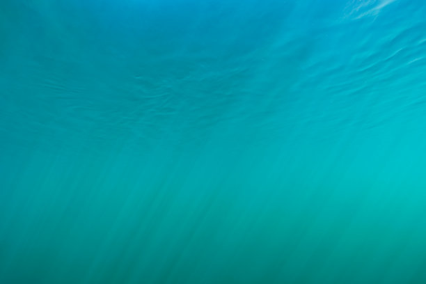 湖中清澈透明的水下照片，阳光透过水面。图片下载