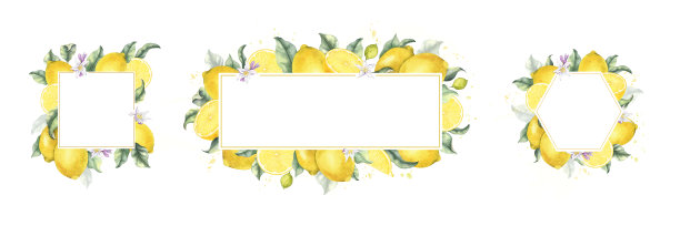 柠檬水果、花朵、黄色斑点和叶子。手绘水彩热带柑橘水果框架。柠檬片花环。菜单、包装、化妆品、纺织品、卡片的模板。图片下载