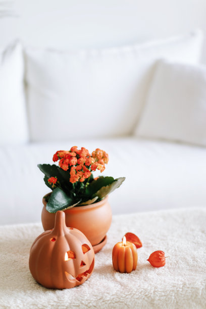 白色室内装饰万圣节。白色美学照片图片下载