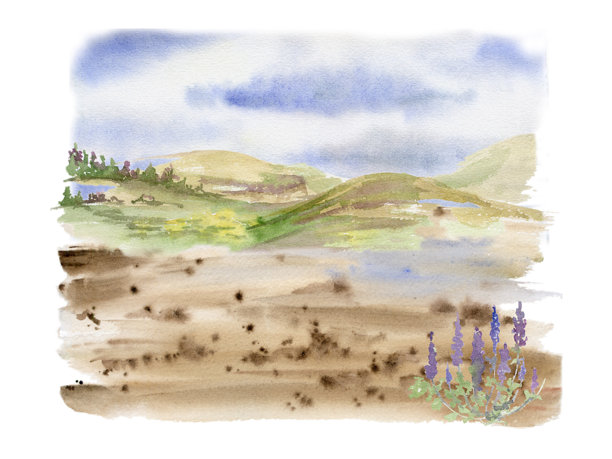 云雾缭绕的天空、丘陵、悬崖、田野、草地、牧场、沼泽地、湖泊、阿尔卑斯风光和花卉的风景画，水彩手绘。适用于旅游地图、度假广告、徒步露营地点和假期宣传。图片下载