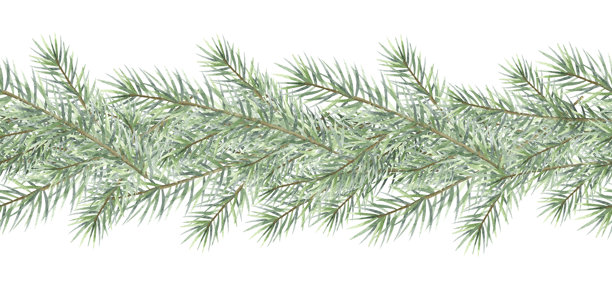 圣诞冷杉树枝水彩插图，独立展示。手绘无缝边框，带有针叶的绿色云杉树枝，适用于冬季假日季节、新年贺卡模板和设计。图片下载