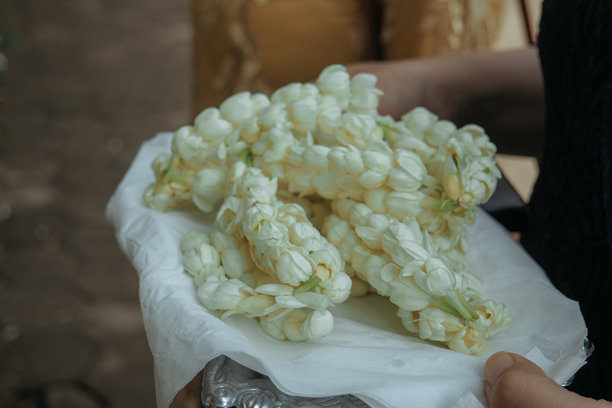 特写照片，茉莉花项链，茉莉花放在托盘上图片下载