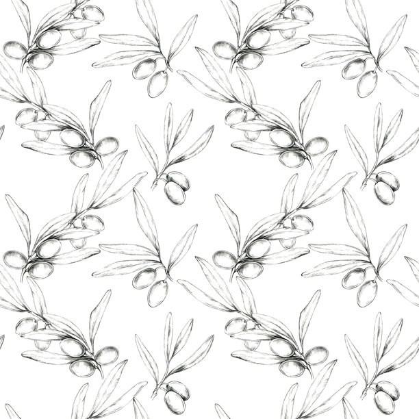 铅笔画的橄榄和树枝形成无缝图案。手绘插图，适合面料印刷和墙纸。图片下载