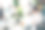 老年女老板与团队合作的照片，舒适宜人的创意初创办公室阁楼室内环境图片下载