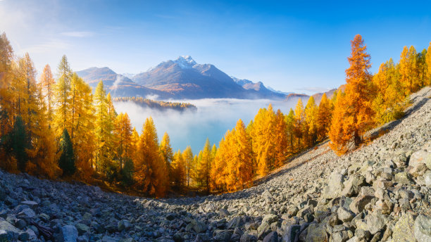 瑞士的秋季风景。山中的日出。雾气和秋季森林。瑞士的恩嘎丁谷。令人难以置信的山谷景观。适合用作背景、壁纸和明信片的照片。图片下载