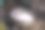 消失的生活方式：照片叙事 - 灰烬蛋糕面包图片下载