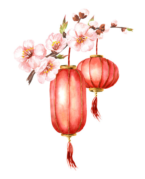 红色传统中国灯笼挂在开花的树枝上。水彩手绘插图，背景为白色。图片下载
