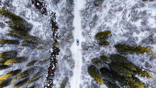 这张照片展示了一辆停在被雪覆盖的森林中的汽车，周围是圣诞树。图片下载