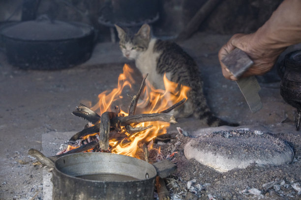 消失的生活方式：照片叙事 - 灰烬蛋糕面包图片下载