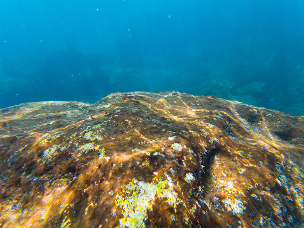 水下照片背景纹理壁纸，留白。法国南部的碧蓝地中海水中的石头。图片下载