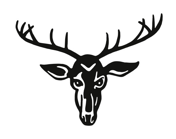 鹿的鹿角图片下载