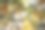 一张老橡树秋季色彩的照片。特写照片展示了树叶和树枝 - 秋季背景。图片下载