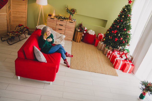 俯视照片中，心情愉悦的可爱女性在温馨的室内环境中享受圣诞周末，正在打电话。图片下载