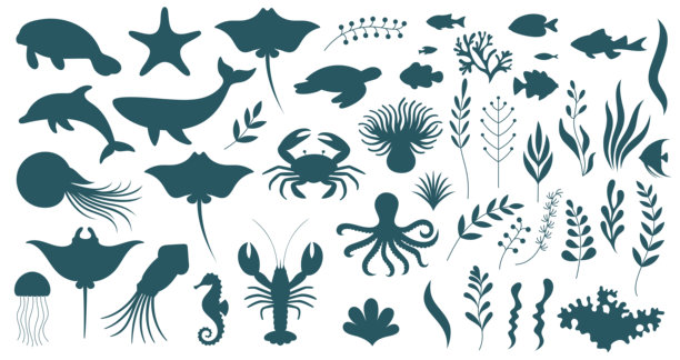 这张图片是一个矢量剪影集，展示了各种海洋生物和海洋植物。图片下载