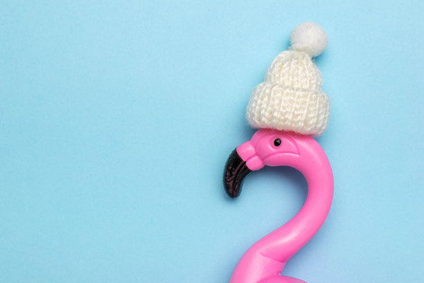 戴着冬帽的粉色火烈鸟，背景为浅蓝色 - 有趣而古怪的库存照片图片下载
