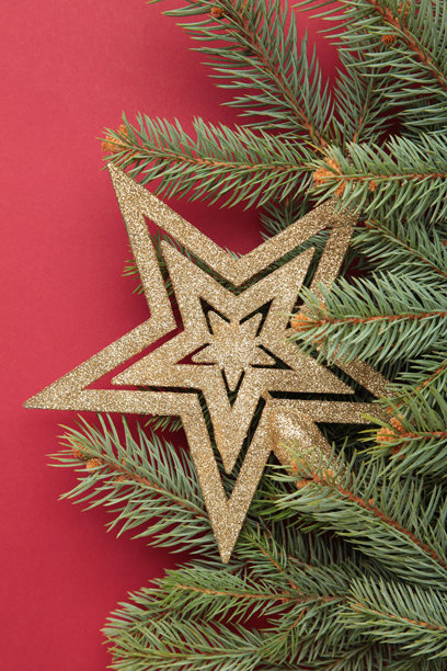 由松枝制成的圣诞框架，红色背景上有金色装饰星。竖版照片图片下载