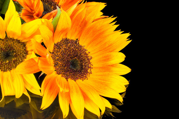 黑色背景上的美丽花朵和蜡烛照片图片下载