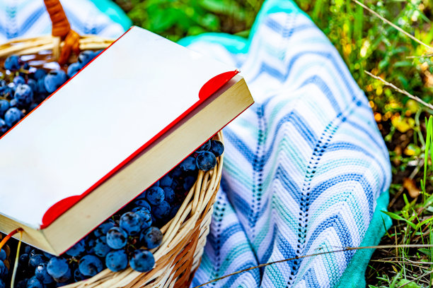 一篮子满是葡萄的葡萄园照片，蓝色地毯上的野餐，旁边有葡萄和一本书。图片下载