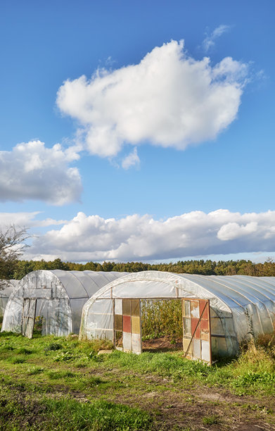 有聚乙烯隧道的有机蔬菜农场照片。图片下载