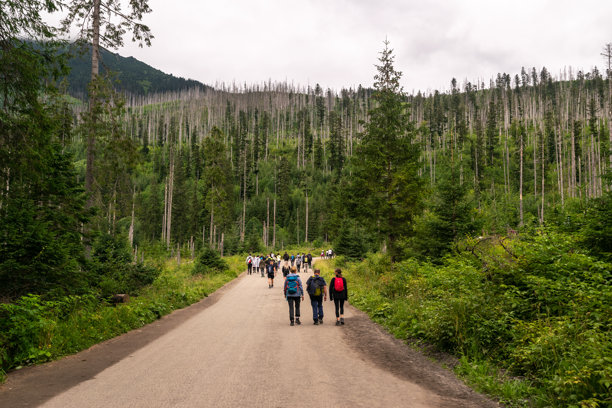 通往莫尔斯基湖的道路，游客在山间小径上，夏季的塔特拉国家公园，新闻图片图片下载