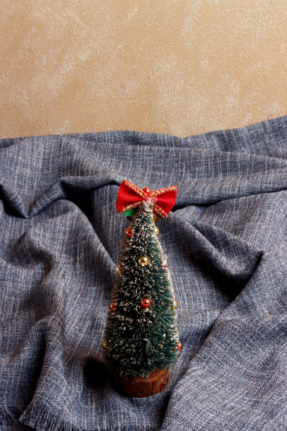 圣诞快乐 十二月 新年 假日 照片 盘子 背景 装饰 顶视图 装饰品 事件图片下载