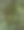 这张图片展示了一个树干的特写，覆盖着绿色的苔藓和浅色的地衣，形成了丰富的土色调纹理。图片下载