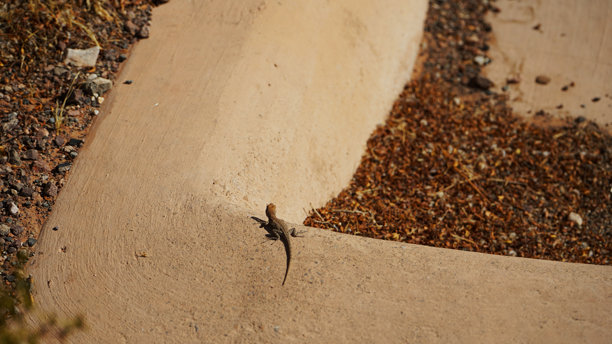 红石小径起点的黑白和彩色照片图片下载