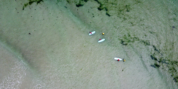 冲浪者在海上等待海浪。人们在进行水上运动。冲浪者。海景。一簇绿色藻类，来自无人机的照片。图片下载