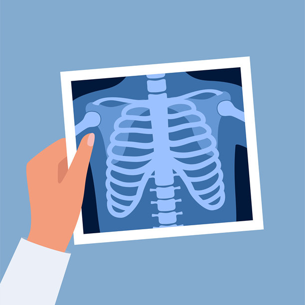人类骨骼胸部和骨盆的X光片。医生手中的放射线照片。医学分析。解剖骨骼医学实验室的放射扫描。矢量图。图片下载