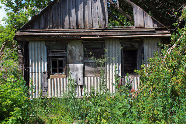 简单的照片图像。图片下载