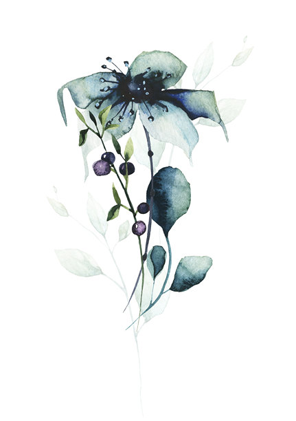 水彩花卉花束排列。蓝色沼泽花、青绿色野生森林枝条、叶子、蓝莓小枝。图片下载