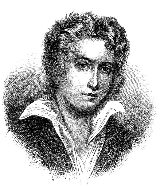 波比·雪莱图片下载