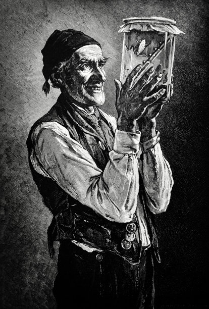 先生看了看罐子里的青蛙。图片下载