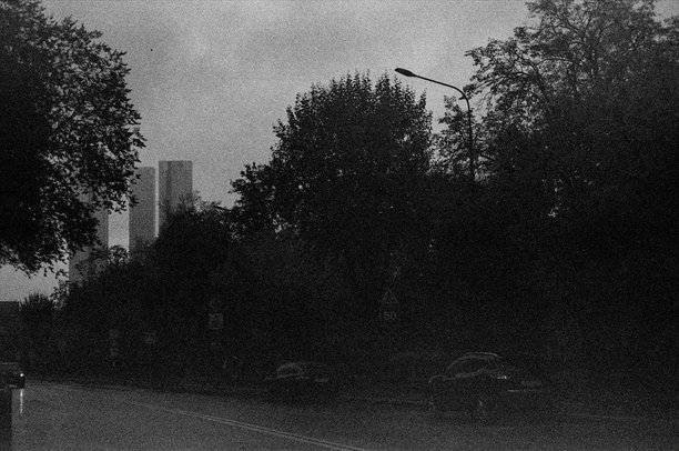 一张黑白照片展示了高楼大厦与树木的景象，35毫米胶卷拍摄。图片下载