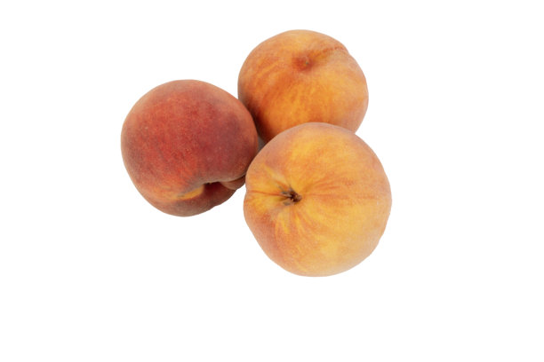 这张图片展示了三个成熟的桃子，具有典型的绒毛皮肤和鲜艳的橙黄色。图片下载