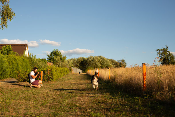年轻帅气的男人在村庄和如画的乡村散步时停下来，拍下他前面奔跑的顽皮狗狗们的照片。图片下载