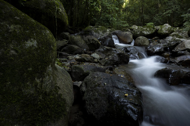 森林中自然河流的美丽 - 股票照片图片下载