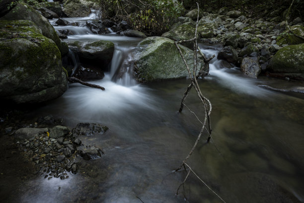 森林中自然河流的美丽 - 库存照片图片下载
