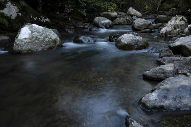 森林中自然河流的美丽 - 库存照片图片下载