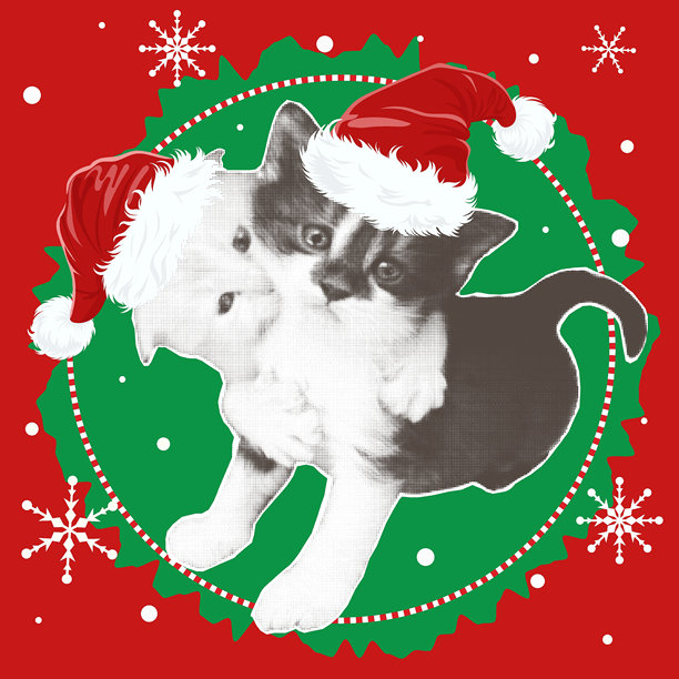 冬季假期图片，带有半色调小猫。明信片、社交网络的布局，祝贺新年假期。矢量图形。图片下载