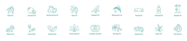 多样化的优质油类矢量图标集：橄榄油、椰子油、杏仁核油、棕榈油、大豆油、小麦胚芽油、花生油、亚麻籽油、猴面包树油、核桃油、杏仁油、开心果油、 hemp油、南瓜油、莫林加油、榛子油、阿甘油、松子油。图片下载
