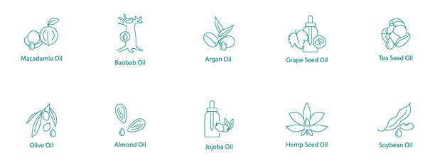 基础天然油矢量图标集：澳洲坚果、猴面包树、阿甘油、葡萄籽、茶籽、橄榄、杏仁、荷荷巴、 hemp、大豆图片下载