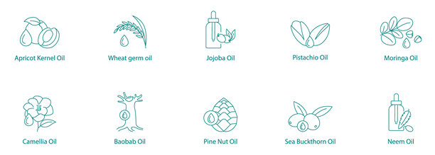 异国植物油矢量图标集：杏仁核油、小麦胚芽油、荷荷巴油、开心果油、莫林加油、山茶花油、猴面包树油、松子油、沙棘油、印度楝油图片下载